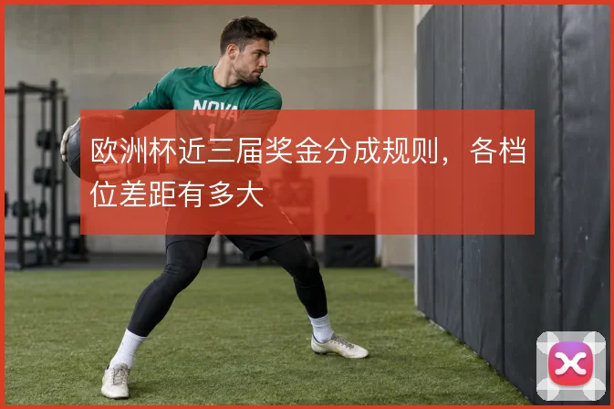 欧洲杯近三届奖金分成规则,各档位差距有多大