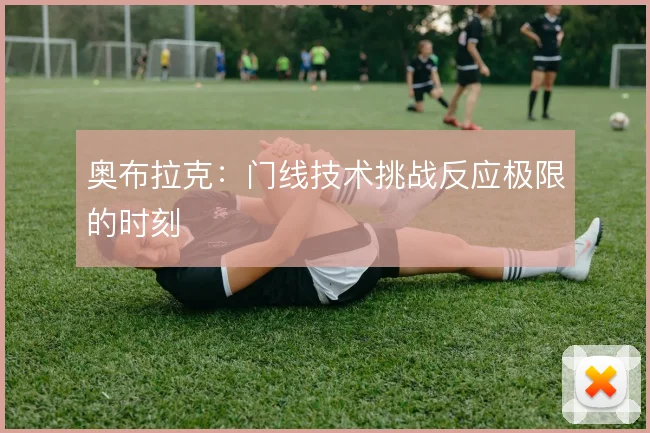奥布拉克：门线技术挑战反应极限的时刻